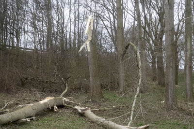Na storm Dudley en Eunice, hopen wij op een Ajaxstorm in Tilburg. © De Brouwer