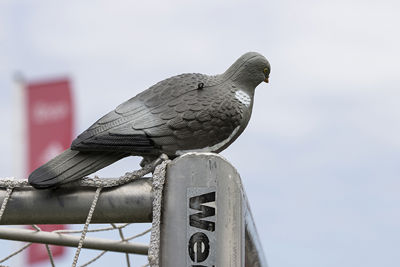Dit is Donny Duif. En Donny Duif moet van de lat worden geschoten. © Pro Shots 