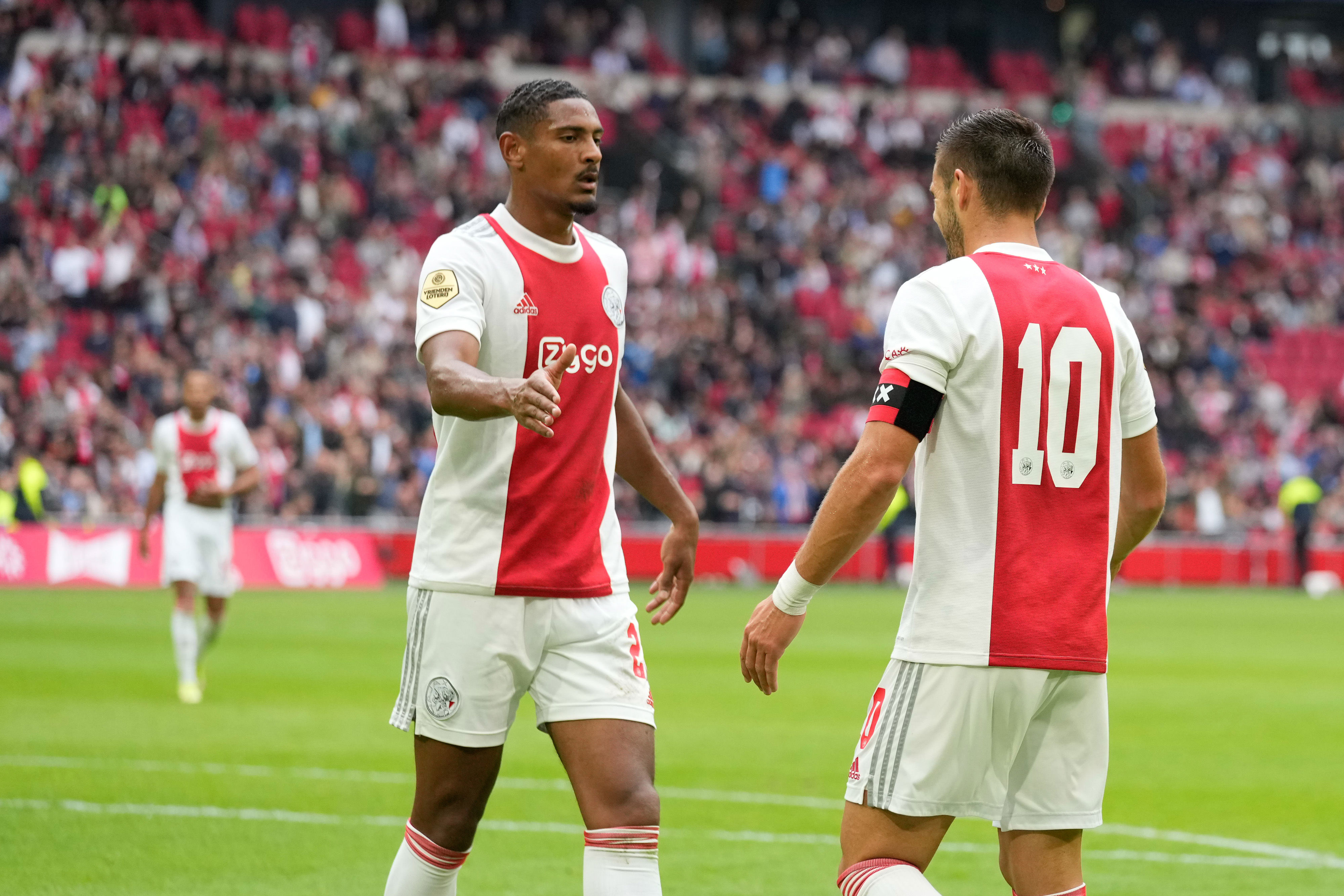 Haller Tadic