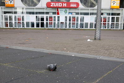 Je zou denken dat zo